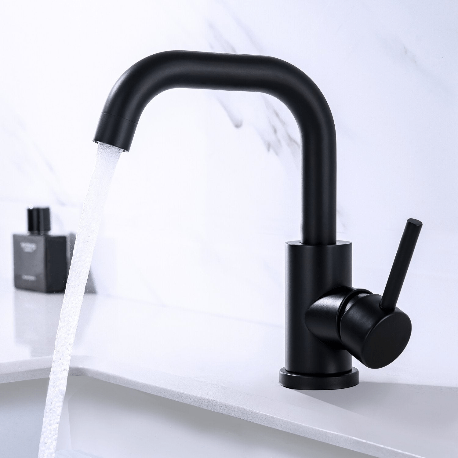 POLLUX - lomazoo.com