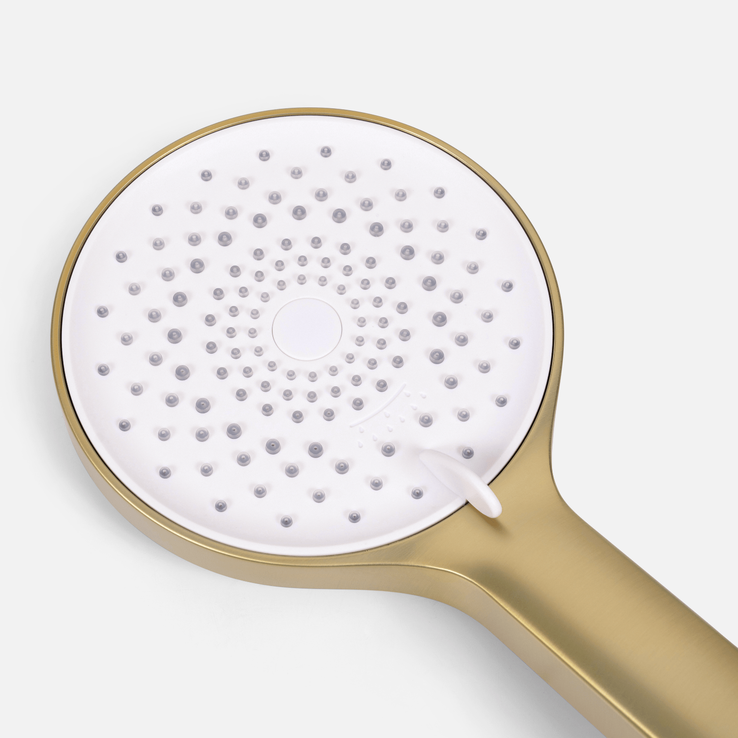 MISTRAL - lomazoo.com