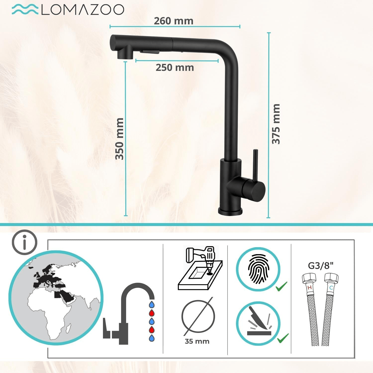 HYDRA - lomazoo.com